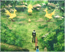 El Santuario de los Chocobos